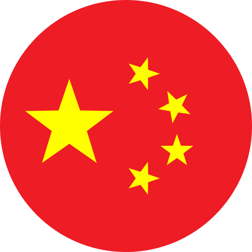 中文